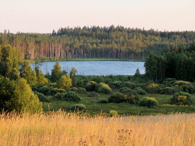 Maakond: Viljandimaa Veekogu nimi: Alatsi järv Pildistamise aeg: august 2011 Pildistaja: H. Timm Pildistamise koht: mäelt Asimuut: