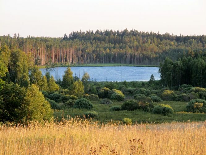 Maakond: Viljandimaa Veekogu nimi: Alatsi järv Pildistamise aeg: august 2011 Pildistaja: H. Timm Pildistamise koht: mäelt Asimuut: