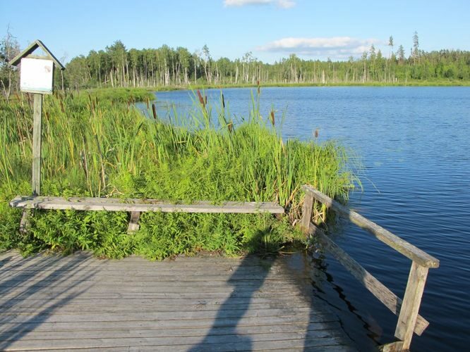 Maakond: Viljandimaa Veekogu nimi: Alatsi järv Pildistamise aeg: august 2011 Pildistaja: H. Timm Pildistamise koht: teadmata Asimuut: