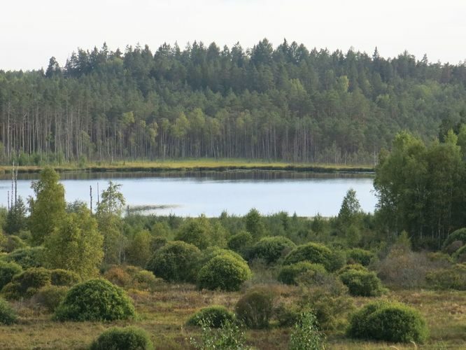 Maakond: Viljandimaa Veekogu nimi: Alatsi järv Pildistamise aeg: 31. august 2013 Pildistaja: H. Timm Pildistamise koht: mäe otsast Asimuut: