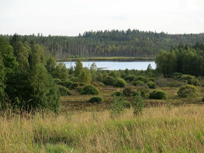 Maakond: Viljandimaa Veekogu nimi: Alatsi järv Pildistamise aeg: 31. august 2013 Pildistaja: H. Timm Pildistamise koht: mäe otsast Asimuut: