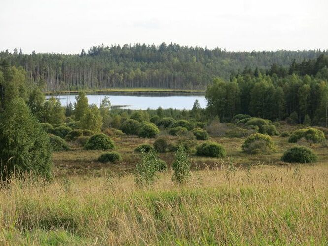 Maakond: Viljandimaa Veekogu nimi: Alatsi järv Pildistamise aeg: 31. august 2013 Pildistaja: H. Timm Pildistamise koht: mäe otsast Asimuut: