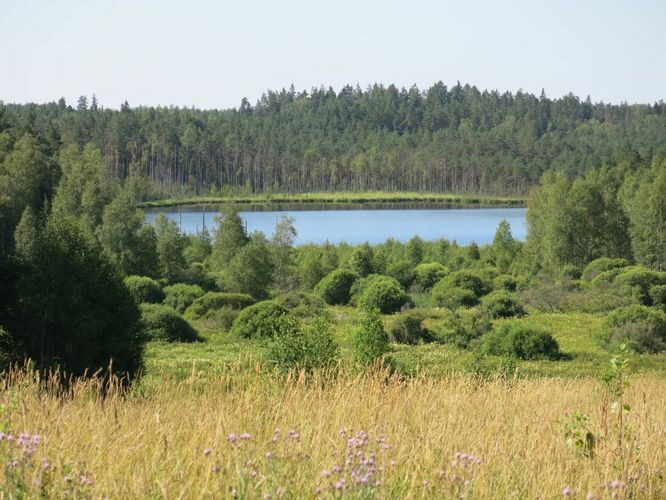 Maakond: Viljandimaa Veekogu nimi: Alatsi järv Pildistamise aeg: 26. juuli 2014 Pildistaja: H. Timm Pildistamise koht: mäe otsast Asimuut: