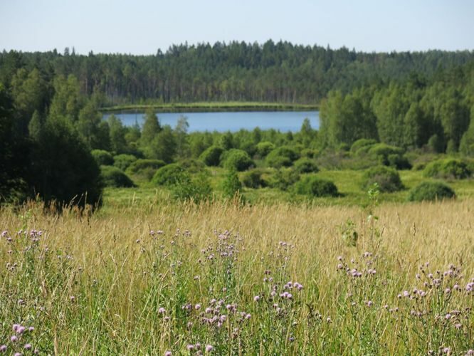 Maakond: Viljandimaa Veekogu nimi: Alatsi järv Pildistamise aeg: 26. juuli 2014 Pildistaja: H. Timm Pildistamise koht: mäe otsast Asimuut: