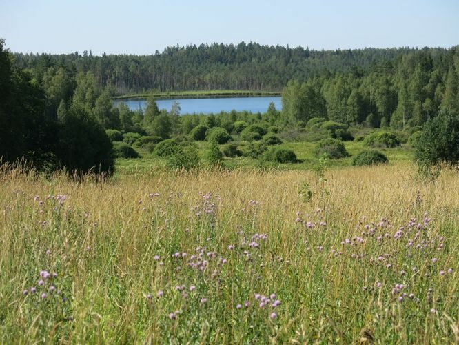 Maakond: Viljandimaa Veekogu nimi: Alatsi järv Pildistamise aeg: 26. juuli 2014 Pildistaja: H. Timm Pildistamise koht: mäe otsast Asimuut: