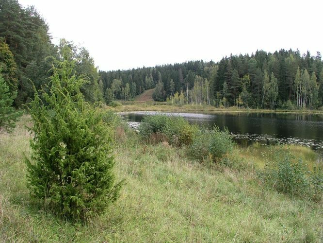 Maakond: Võrumaa Veekogu nimi: Andsu Edejärv Pildistamise aeg: 15. september 2009 Pildistaja: H. Timm Pildistamise koht: teadmata Asimuut: