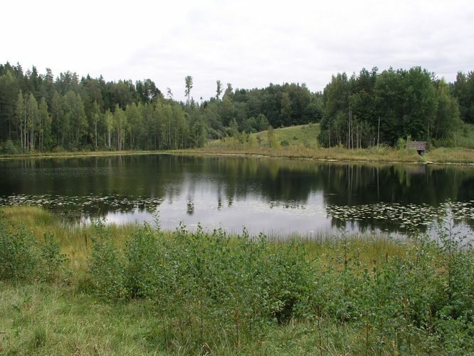 Maakond: Võrumaa Veekogu nimi: Andsu Edejärv Pildistamise aeg: 15. september 2009 Pildistaja: H. Timm Pildistamise koht: teadmata Asimuut: