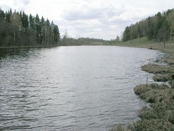 Maakond: Võrumaa Veekogu nimi: Andsu Perajärv Pildistamise aeg: 7. mai 2003 Pildistaja: H. Timm Pildistamise koht: teadmata Asimuut: