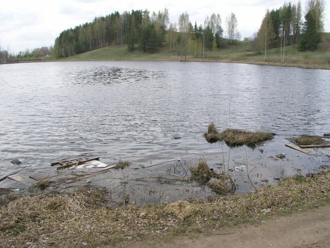 Maakond: Võrumaa Veekogu nimi: Andsu Perajärv Pildistamise aeg: 7. mai 2003 Pildistaja: H. Timm Pildistamise koht: teadmata Asimuut: