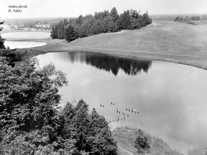 Maakond: Võrumaa Veekogu nimi: Andsu Perajärv Pildistamise aeg: teadmata Pildistaja: E. Sakk (Eesti Looduse arhiiv) Pildistamise koht: taga Edej Asimuut: NW