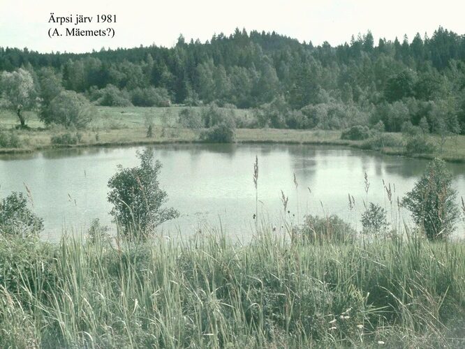 Maakond: Valgamaa Veekogu nimi: Äpsi järv Pildistamise aeg: 1981 Pildistaja: A. Mäemets Pildistamise koht: teadmata Asimuut: