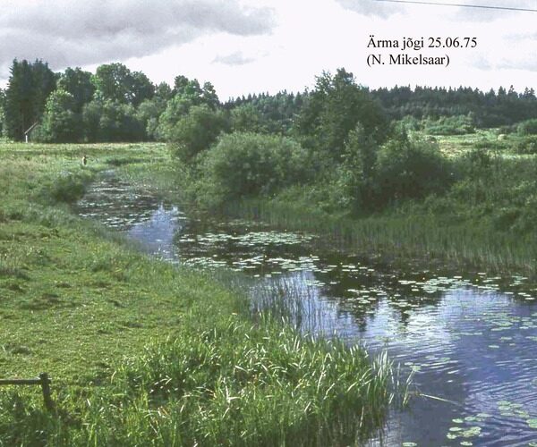 Maakond: Viljandimaa Veekogu nimi: Ärma jõgi Pildistamise aeg: 25. juuni 1975 Pildistaja: N. Mikelsaar Pildistamise koht: teadmata Asimuut: