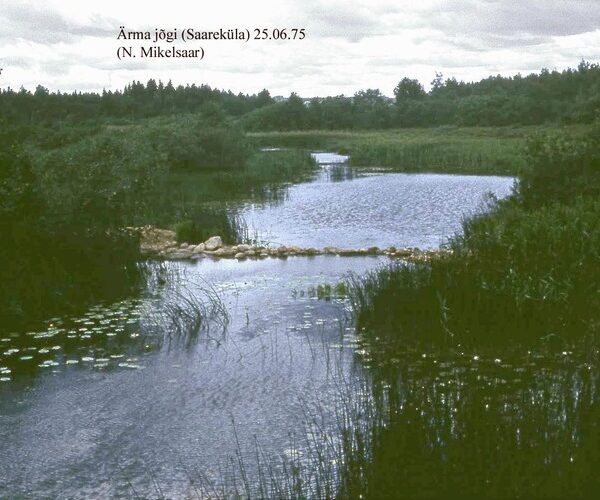Maakond: Viljandimaa Veekogu nimi: Ärma jõgi Pildistamise aeg: 25. juuni 1975 Pildistaja: N. Mikelsaar Pildistamise koht: Saarek Asimuut: