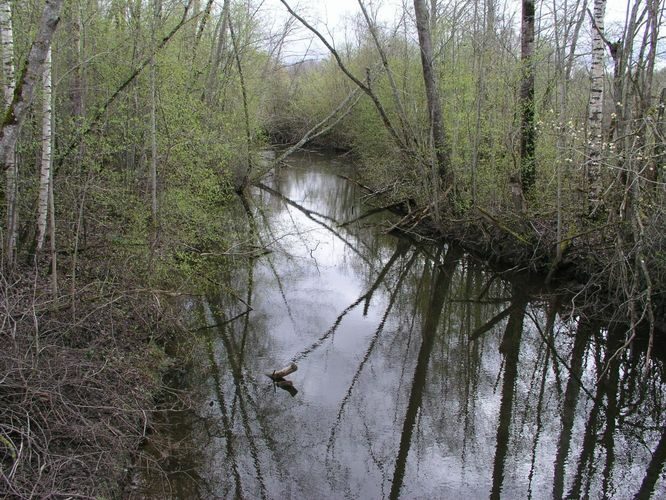 Maakond: Viljandimaa Veekogu nimi: Ärma jõgi Pildistamise aeg: 20. aprill 2007 Pildistaja: H. Timm Pildistamise koht: Mõnnaste Asimuut: