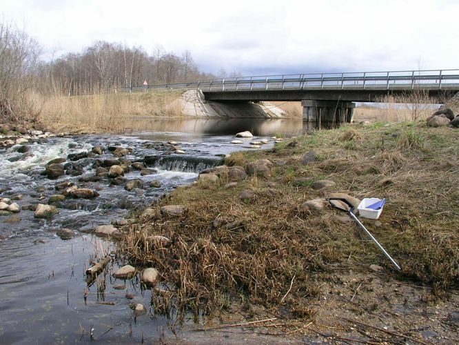 Maakond: Viljandimaa Veekogu nimi: Ärma jõgi Pildistamise aeg: 20. aprill 2007 Pildistaja: H. Timm Pildistamise koht: Saareküla teelt Asimuut: