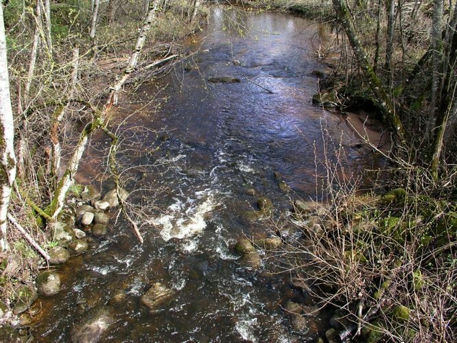 Maakond: Viljandimaa Veekogu nimi: Ärma jõgi Pildistamise aeg: 20. mai 2007 Pildistaja: H. Timm Pildistamise koht: Kärstna tee Asimuut: