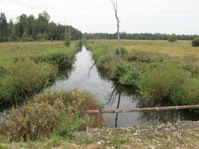 Maakond: Valgamaa Veekogu nimi: Ärnu jõgi Pildistamise aeg: 13. september 2010 Pildistaja: H. Timm Pildistamise koht: ülalpool Väherut Asimuut: