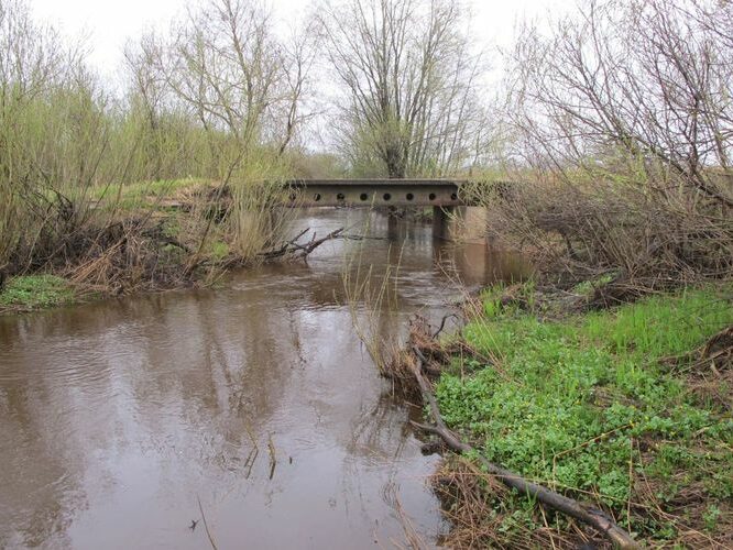 Maakond: Valgamaa Veekogu nimi: Ärnu jõgi Pildistamise aeg: 4. mai 2010 Pildistaja: H. Timm Pildistamise koht: sild alamjooksul Asimuut: