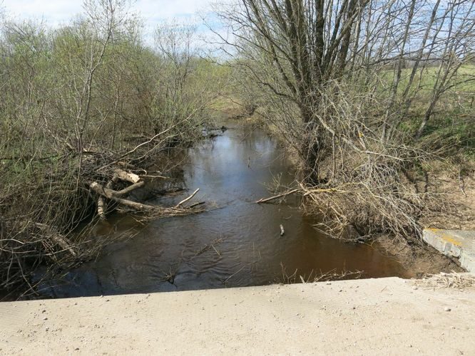 Maakond: Valgamaa Veekogu nimi: Ärnu jõgi Pildistamise aeg: 7. mai 2013 Pildistaja: H. Timm Pildistamise koht: alamjooksu sild Asimuut: