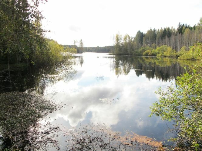 Maakond: Viljandimaa Veekogu nimi: Asu paisjärv Pildistamise aeg: 23. september 2010 Pildistaja: H. Timm Pildistamise koht: teadmata Asimuut: