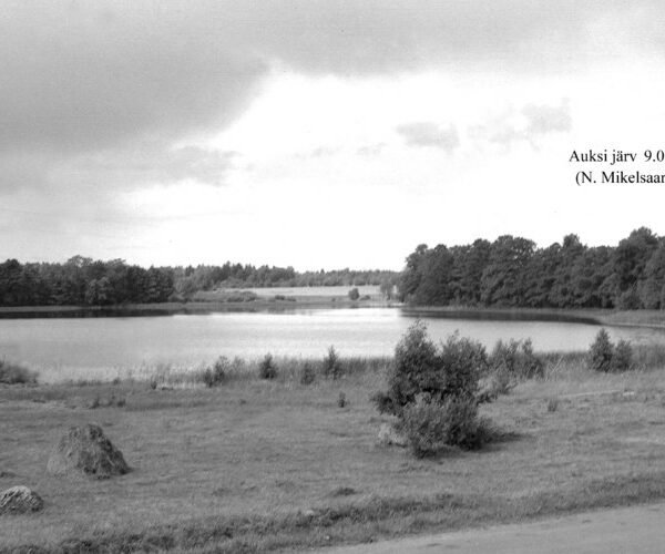 Maakond: Viljandimaa Veekogu nimi: Auksi järv Pildistamise aeg: 9. august 1956 Pildistaja: N. Mikelsaar Pildistamise koht: teadmata Asimuut: