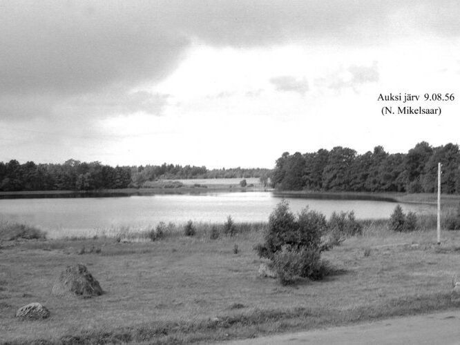 Maakond: Viljandimaa Veekogu nimi: Auksi järv Pildistamise aeg: 9. august 1956 Pildistaja: N. Mikelsaar Pildistamise koht: teadmata Asimuut: