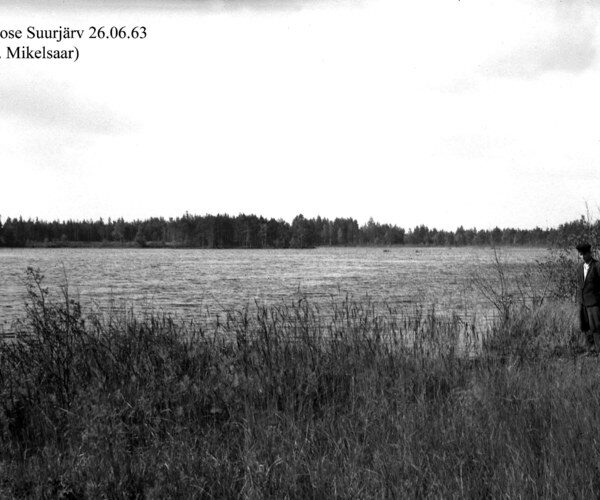 Maakond: Võrumaa Veekogu nimi: Boose Suurjärv Pildistamise aeg: 26. juuni 1963 Pildistaja: N. Mikelsaar Pildistamise koht: teadmata Asimuut: