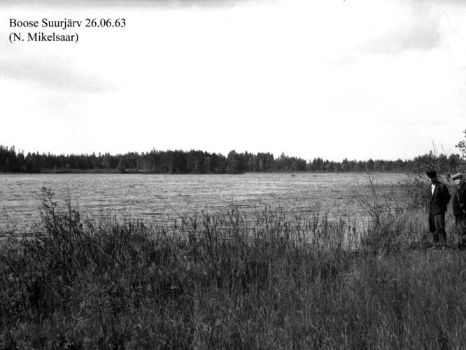 Maakond: Võrumaa Veekogu nimi: Boose Suurjärv Pildistamise aeg: 26. juuni 1963 Pildistaja: N. Mikelsaar Pildistamise koht: teadmata Asimuut: