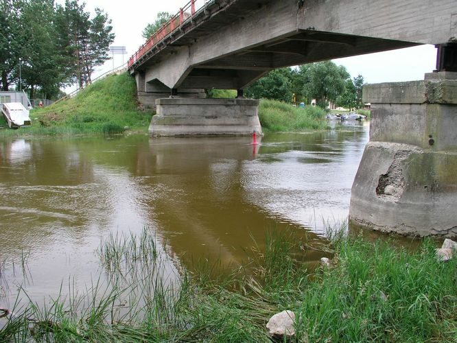 Maakond: Viljandimaa Veekogu nimi: Emajõgi Pildistamise aeg: 14. juuli 2008 Pildistaja: H. Timm Pildistamise koht: Jõesuu Asimuut: