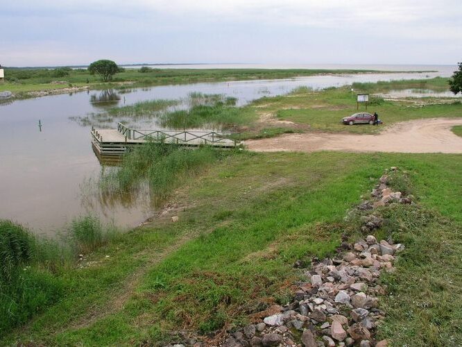 Maakond: Viljandimaa Veekogu nimi: Emajõgi Pildistamise aeg: 14. juuli 2008 Pildistaja: H. Timm Pildistamise koht: Jõesuu Asimuut: