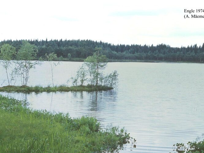 Maakond: Võrumaa Veekogu nimi: Engli Pildistamise aeg: 1974 Pildistaja: A. Mäemets Pildistamise koht: teadmata Asimuut: