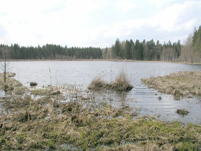 Maakond: Võrumaa Veekogu nimi: Hainjärv Pildistamise aeg: 9. mai 2003 Pildistaja: H. Timm Pildistamise koht: teadmata Asimuut: