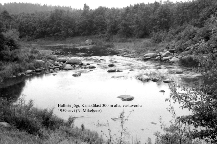 Maakond: Viljandimaa Veekogu nimi: Halliste jõgi Pildistamise aeg: 1959 Pildistaja: N. Mikelsaar Pildistamise koht: Kanak Asimuut: