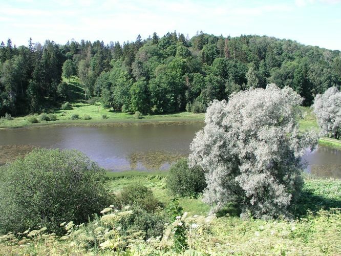 Maakond: Viljandimaa Veekogu nimi: Halliste jõgi Pildistamise aeg: 8. august 2003 Pildistaja: H. Timm Pildistamise koht: Karksi ülemine järv Asimuut: