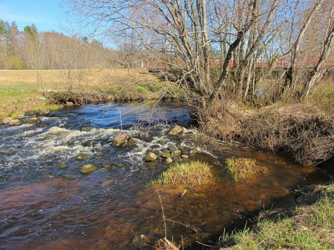 Maakond: Viljandimaa Veekogu nimi: Halliste jõgi Pildistamise aeg: 28. aprill 2010 Pildistaja: H. Timm Pildistamise koht: Vana-Kariste Asimuut: