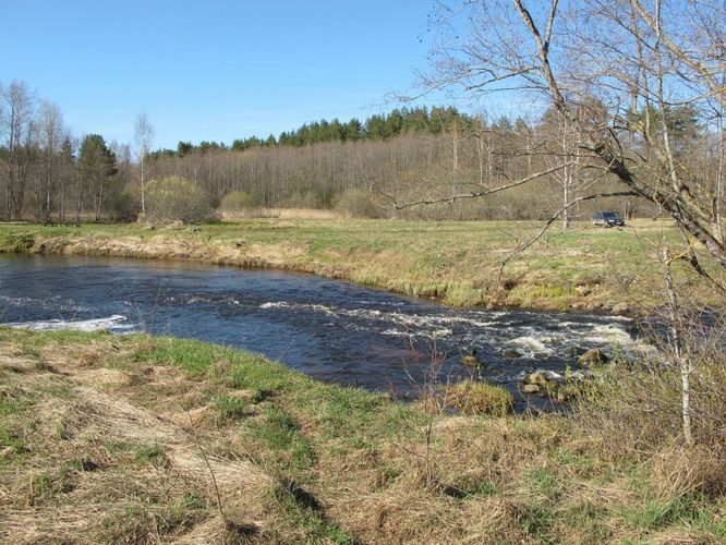 Maakond: Viljandimaa Veekogu nimi: Halliste jõgi Pildistamise aeg: 28. aprill 2010 Pildistaja: H. Timm Pildistamise koht: Vana-Kariste Asimuut: