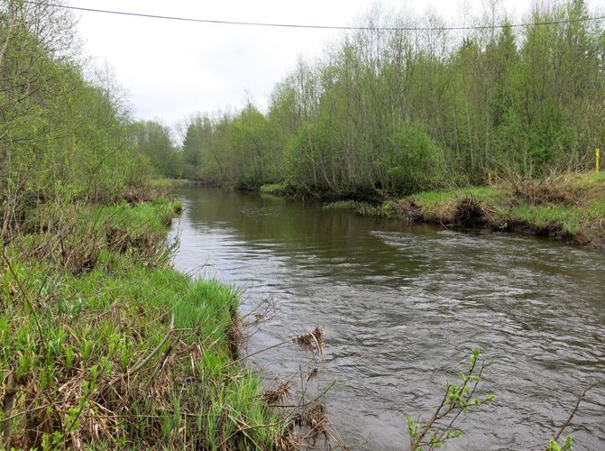 Maakond: Viljandimaa Veekogu nimi: Halliste jõgi Pildistamise aeg: 13. mai 2013 Pildistaja: H. Timm Pildistamise koht: Kariste Asimuut: