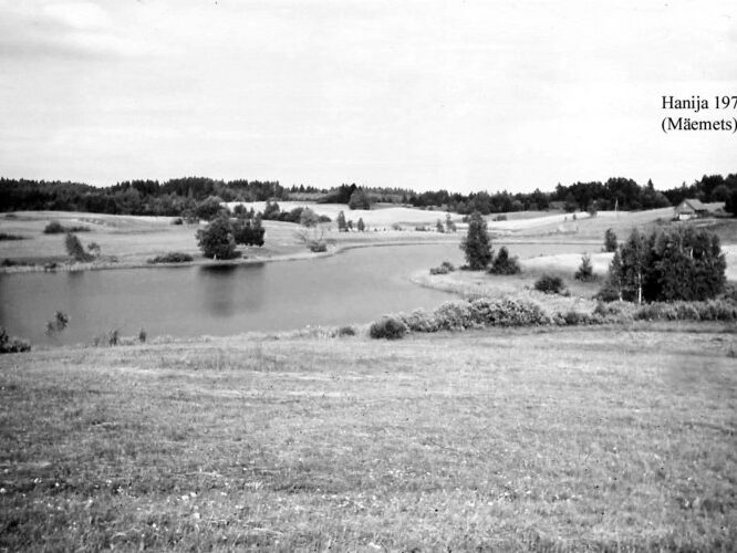 Maakond: Võrumaa Veekogu nimi: Hanija järv Pildistamise aeg: 1971 Pildistaja: A. Mäemets Pildistamise koht: NW otsast Asimuut: SE