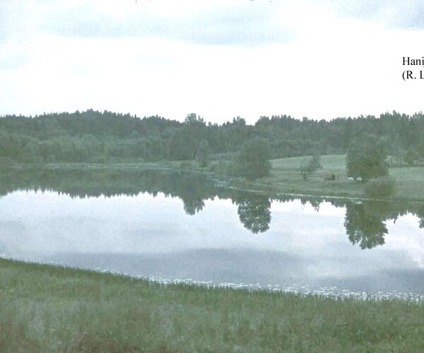 Maakond: Võrumaa Veekogu nimi: Hanija järv Pildistamise aeg: 1973 Pildistaja: R. Laugaste Pildistamise koht: S kaldalt Asimuut: N