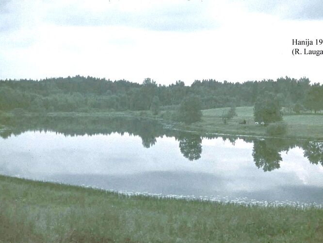 Maakond: Võrumaa Veekogu nimi: Hanija järv Pildistamise aeg: 1973 Pildistaja: R. Laugaste Pildistamise koht: S kaldalt Asimuut: N