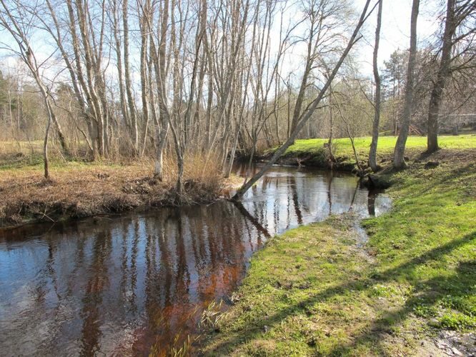 Maakond: Võrumaa Veekogu nimi: Hargla oja Pildistamise aeg: 25. aprill 2010 Pildistaja: H. Timm Pildistamise koht: Hargla Asimuut: