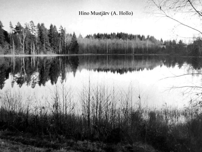 Maakond: Võrumaa Veekogu nimi: Hino Mustjärv Pildistamise aeg: teadmata Pildistaja: A. Hollo (Eesti Looduse arhiiv) Pildistamise koht: teadmata Asimuut: