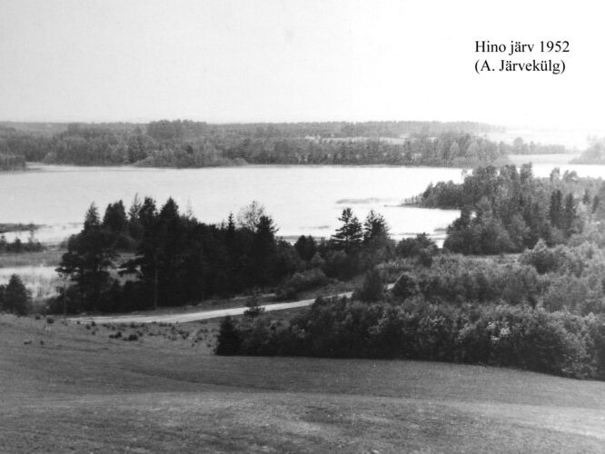 Maakond: Võrumaa Veekogu nimi: Hino järv Pildistamise aeg: 1952 Pildistaja: A. Järvekülg Pildistamise koht: teadmata Asimuut: