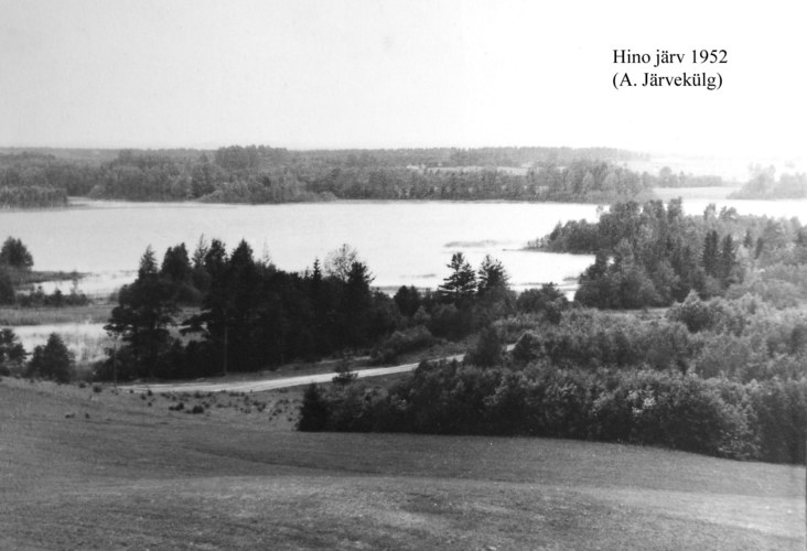 Maakond: Võrumaa Veekogu nimi: Hino järv Pildistamise aeg: 1952 Pildistaja: A. Järvekülg Pildistamise koht: teadmata Asimuut: