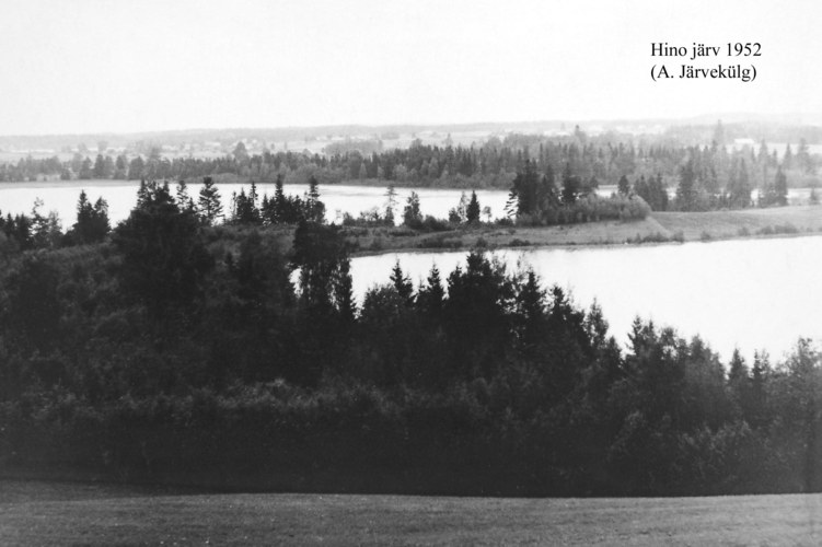Maakond: Võrumaa Veekogu nimi: Hino järv Pildistamise aeg: 1952 Pildistaja: A. Järvekülg Pildistamise koht: teadmata Asimuut: