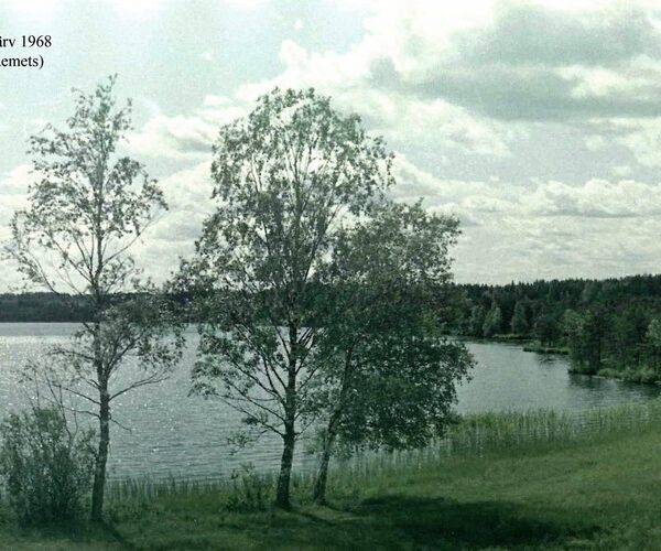 Maakond: Võrumaa Veekogu nimi: Hino järv Pildistamise aeg: 1968 Pildistaja: A. Mäemets Pildistamise koht: teadmata Asimuut: