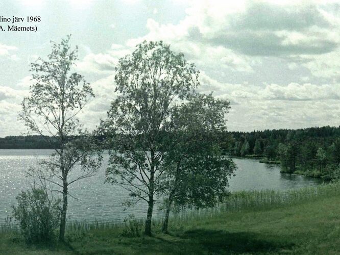 Maakond: Võrumaa Veekogu nimi: Hino järv Pildistamise aeg: 1968 Pildistaja: A. Mäemets Pildistamise koht: teadmata Asimuut: