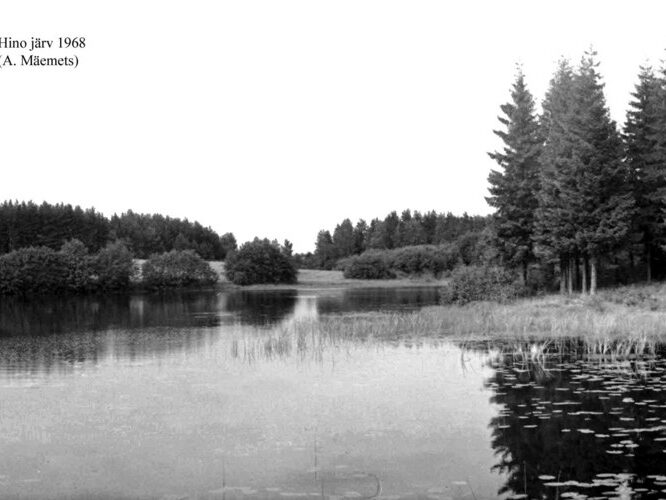 Maakond: Võrumaa Veekogu nimi: Hino järv Pildistamise aeg: 1968 Pildistaja: A. Mäemets Pildistamise koht: teadmata Asimuut: