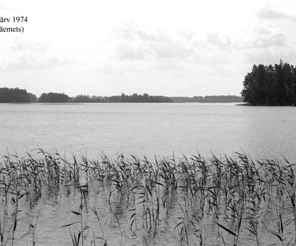 Maakond: Võrumaa Veekogu nimi: Hino järv Pildistamise aeg: 1974 Pildistaja: A. Mäemets Pildistamise koht: teadmata Asimuut: