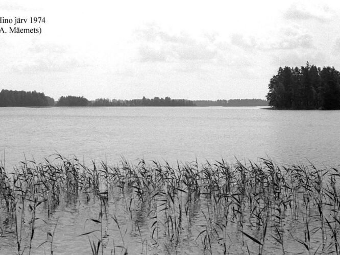 Maakond: Võrumaa Veekogu nimi: Hino järv Pildistamise aeg: 1974 Pildistaja: A. Mäemets Pildistamise koht: teadmata Asimuut: